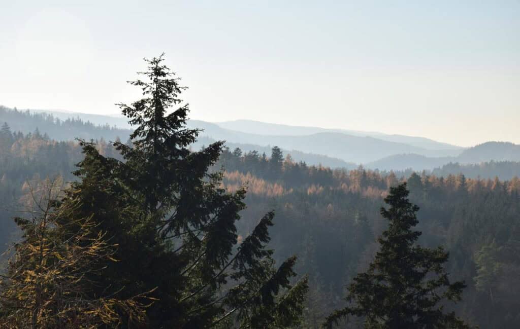 Explore beautiful nature and things to do in Karlovy Vary