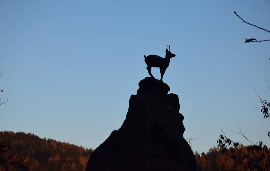 A symbol of things to do in Karlovy Vary is the goat statue.